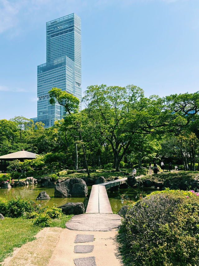 綠意水畔鳥影大阪漫遊🌳  