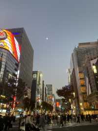 5 Spot Gratis di Tokyo yang Bikin Liburan Hemat & Seru!