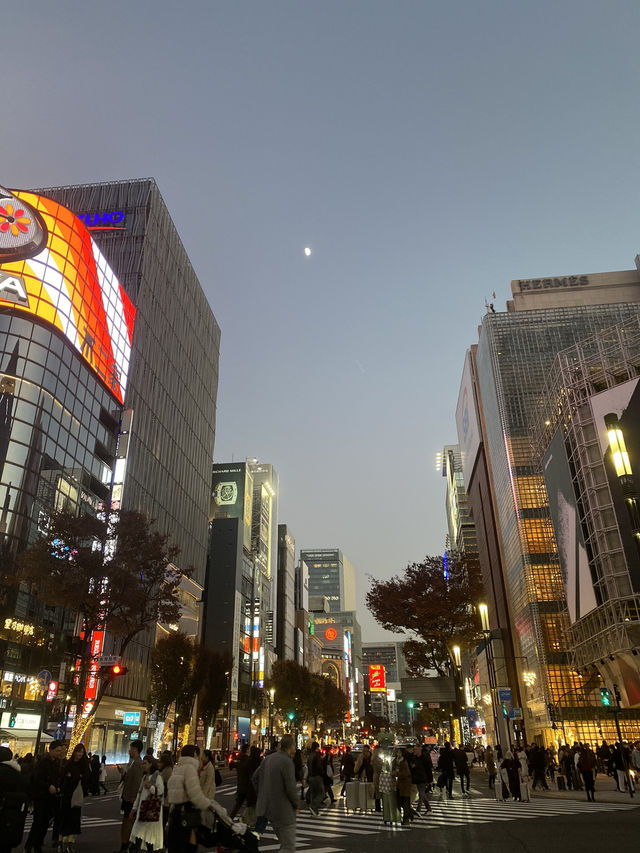 5 Spot Gratis di Tokyo yang Bikin Liburan Hemat & Seru!