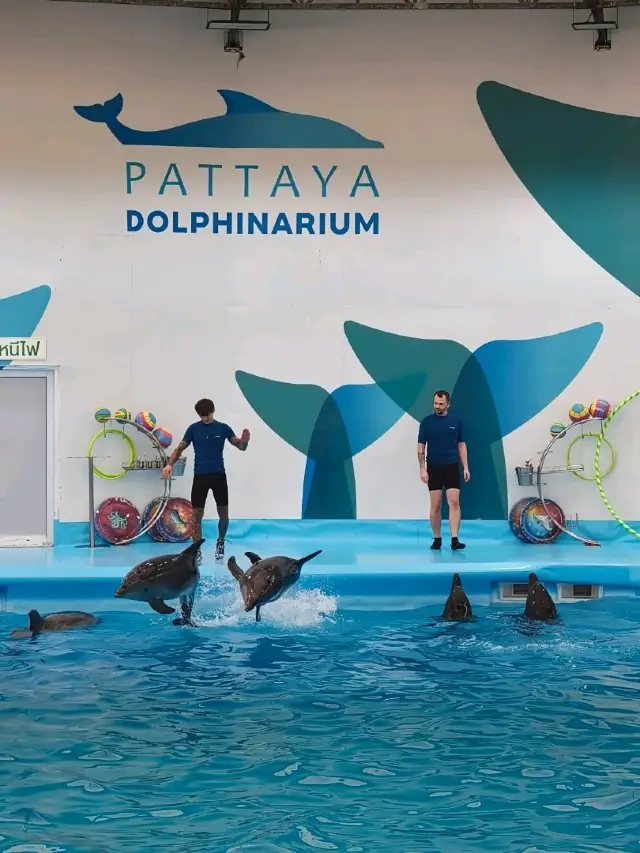 Pattaya Dolphinarium