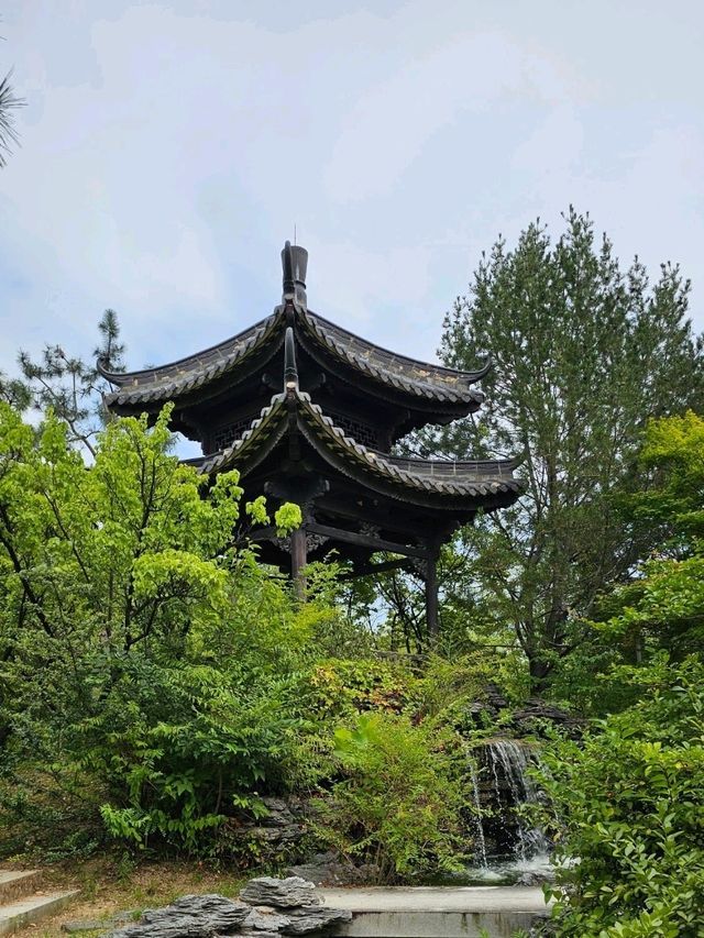 수원 월화원 꼭 다녀와보세요 수원 월화원 꼭 다녀와보세요