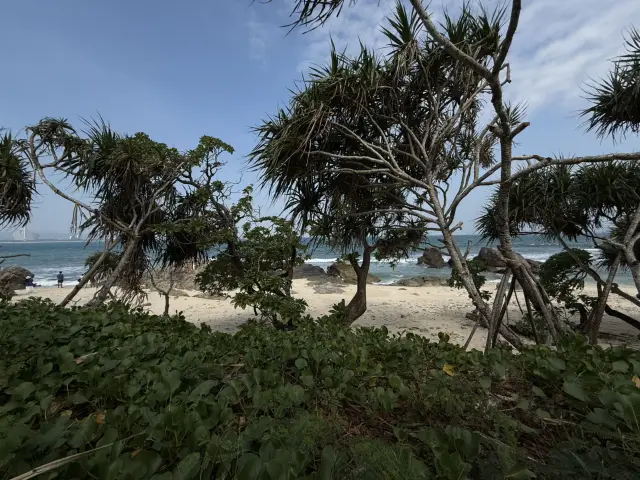 Wuzhizhou Island (Pirate Island)