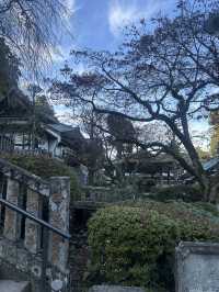 大雄山最乗寺入り口