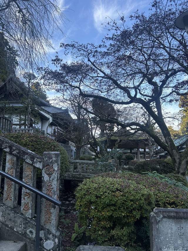 大雄山最乗寺入り口 大雄山最乗寺入り口