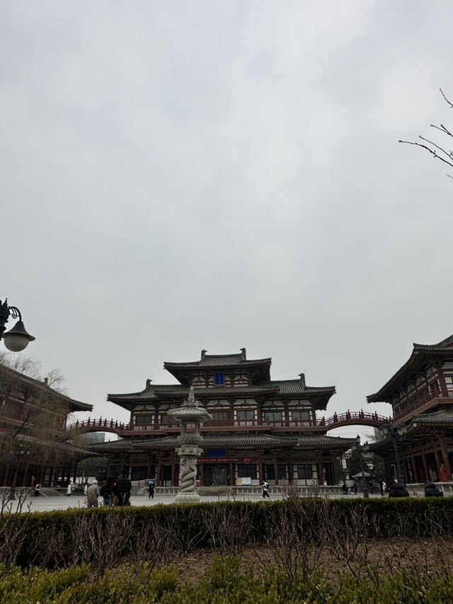 Xi'an Ancient Walk🏯