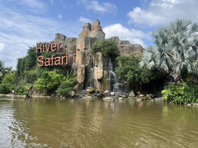 DaNang and Hoi An Magic holiday escape for family✨ DaNang and Hoi An Magic holiday escape for family✨