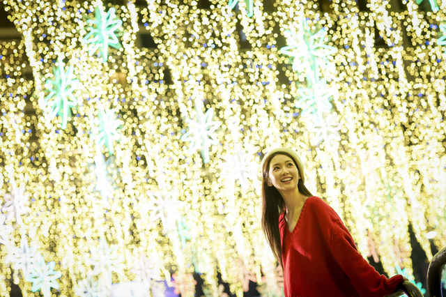 🆕全新AI光影匯演「Windows of Wonder」 🆕全新AI光影匯演「Windows of Wonder」