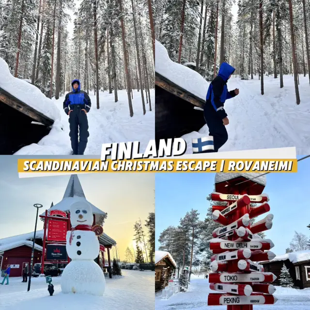 🎄 POLAR GLOW: THE ULTIMATE ARCTIC VIBE ❄️