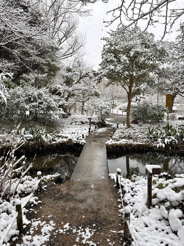 ❄️ A Silent Snowy Morning in Edo’s Garden