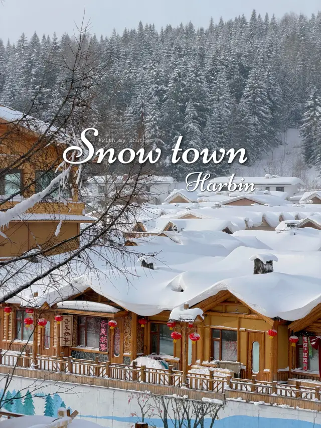 誰能夠忍受寒冷，一定要試試來旅遊雪鄉