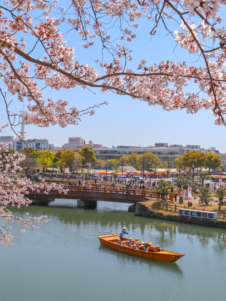 兵庫県 姫路城】 🌸2026 世界遺産 姫路城 桜🌸 | Trip.com 姫路