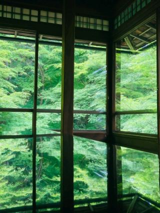 A Reflection-Themed [Kyoto & Nara Trip].