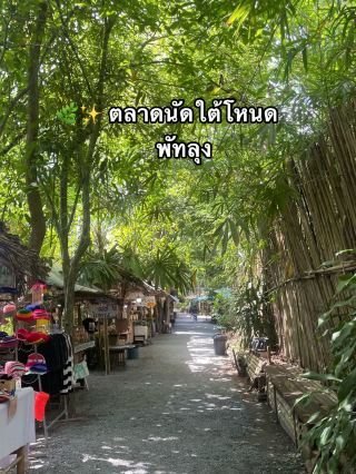 🌿✨ ตลาดนัดใต้โหนด พัทลุง