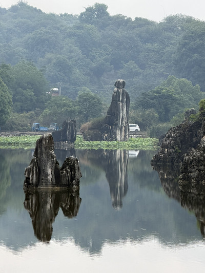 Step Into a 270-Million-Year-Old Stone Forest! Mind Blown by
