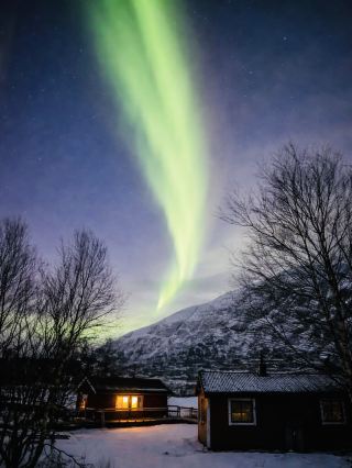 💚✨ Northern Lights in Norway – Nature’s Most Magical Performance ✨💚