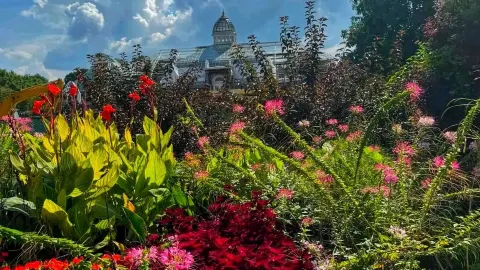 🍁 Autumn Wonders at Franklin Park Conservatory 🌿 — traveler post in Columbus