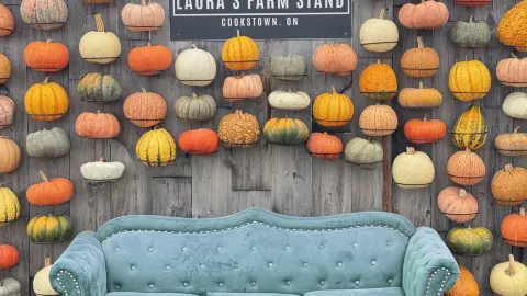Recommended Farm Near Toronto. — traveler post in Simcoe County