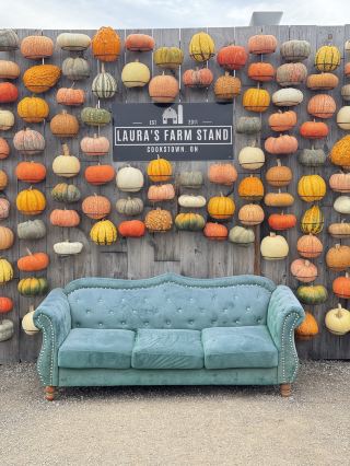 Recommended Farms Around Toronto