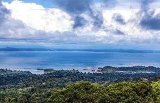 🇸🇷 Suriname: South America’s Hidden Green Paradise 🌿🦜 | The Country Most Travellers Overlook