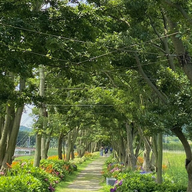환상의 정원 팽나무십리길