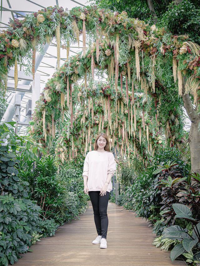 Canopy Park @ JEWEL, Changi Airport