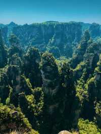 Immerse Yourself in the Avatar Mountains