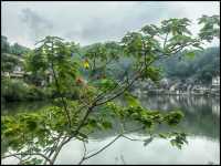 Ancient town - Ningbo 