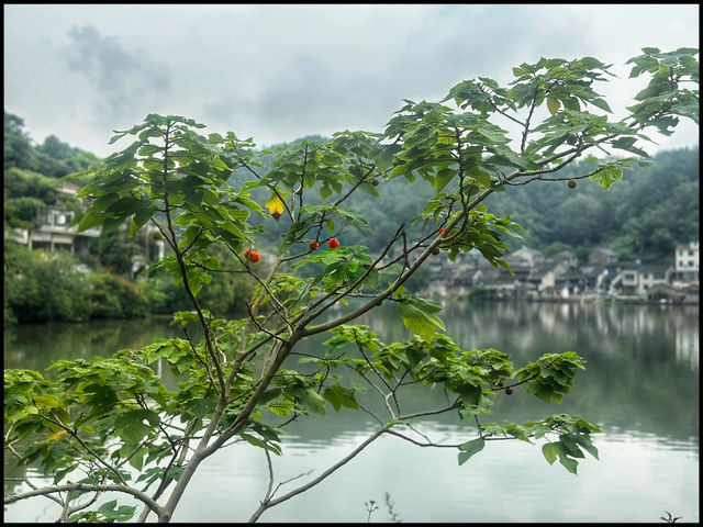 Ancient town - Ningbo 