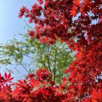 月湖公園氣氛悠閒放鬆