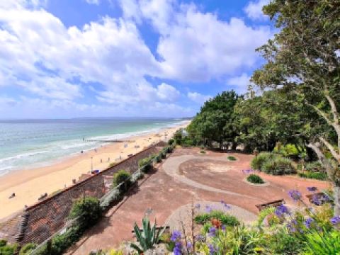 สวนเขตร้อนอลัมไชน์