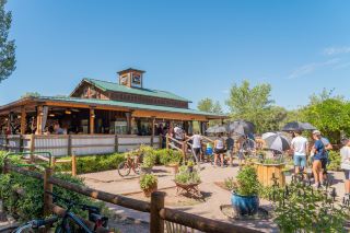 เที่ยว Albuquerque หนึ่งวัน สัมผัสเสน่ห์ Old Town Farm, Route 66 Summerfest และ 3 ที่เที่ยวท้องถิ่นที่ไม่ควรพลาด