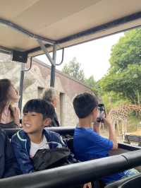 新設新園區 Chessington World of Adventures 切斯頓冒險世界