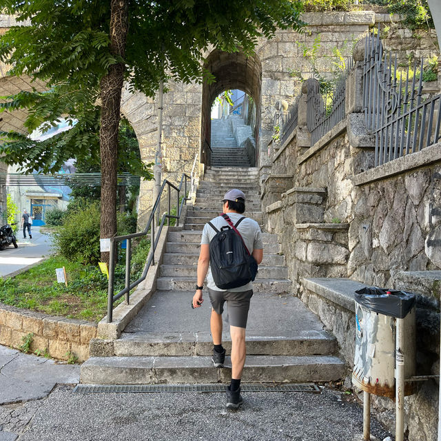 Castle Overlooking Rijeka