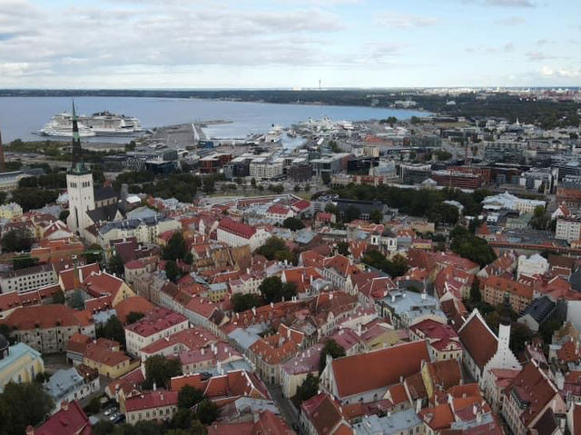 愛沙尼亞🇪🇪景點-Patkuli viewing platform