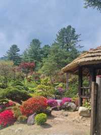 Garden of morning calm 🌿