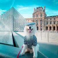 The number 1 Museum in Paris – The Louvre