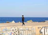 Barcelona ocean and buildings 🇪🇸