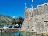 Port of Kotor 🗺️