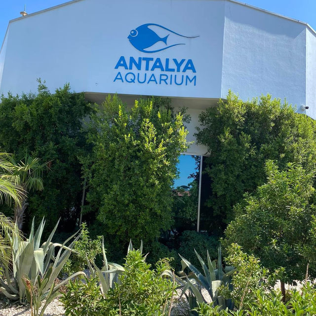 Antalya Aquarium 🗺️