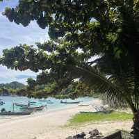 Koh Tao, Thailand 🌴