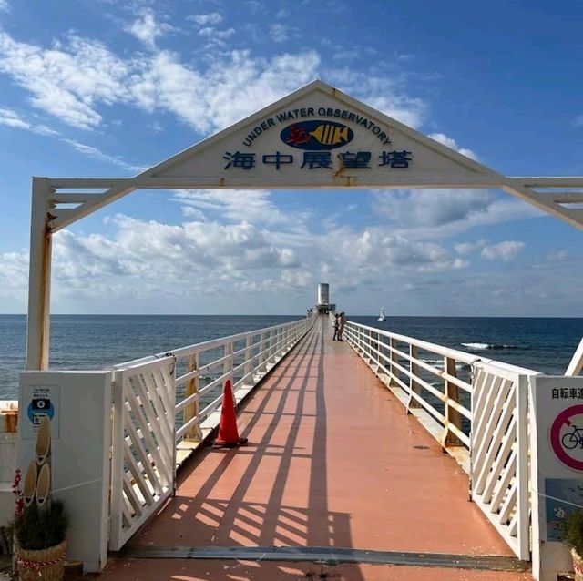 🐠部瀨名海中公園🐟360 度探索海底玻璃船之旅🐡