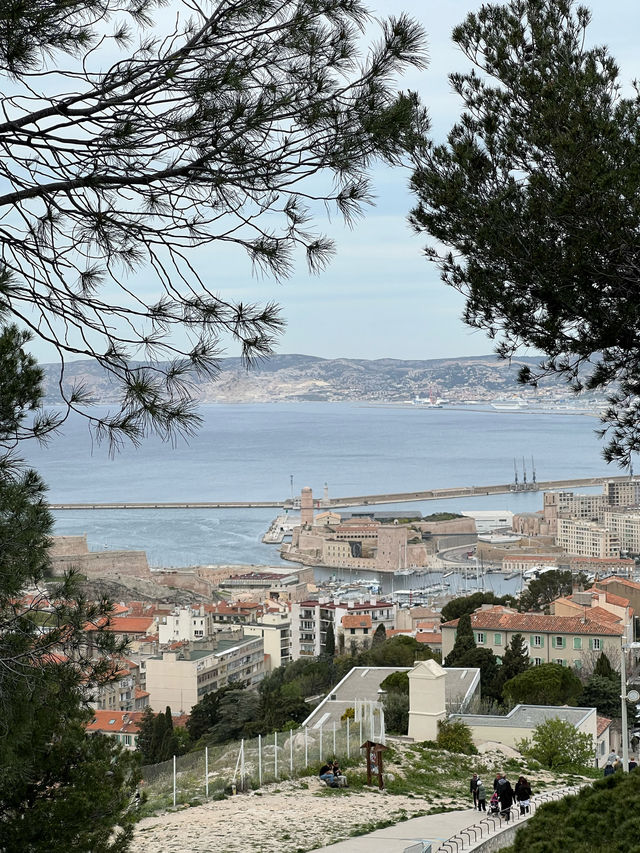 🇫🇷마르세유가 한 눈에 보는 대성당