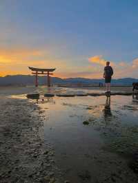 이쓰쿠시마 사원과 대새문: 바다 위 일본의 상징 🌊⛩️