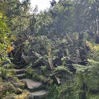 Biddulph grange: A National trust hidden treasure