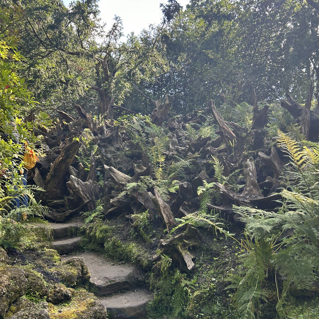 Biddulph grange: A National trust hidden treasure