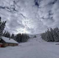 Bulgaria-Sofia-Vitosha Mountain 