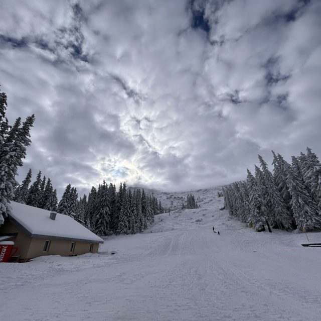 Bulgaria-Sofia-Vitosha Mountain 