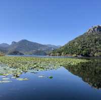 Lake Skadar, have you been there?