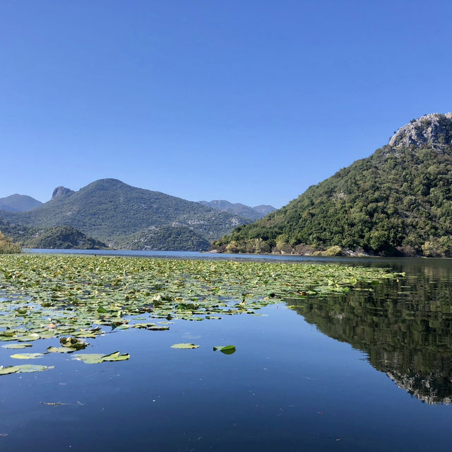Lake Skadar, have you been there?