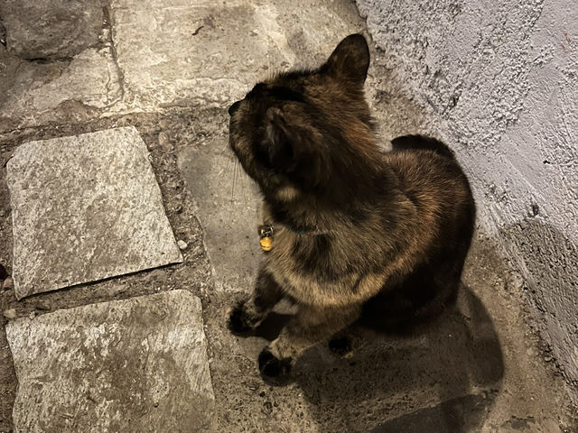 Lost in the Charm of Aegina